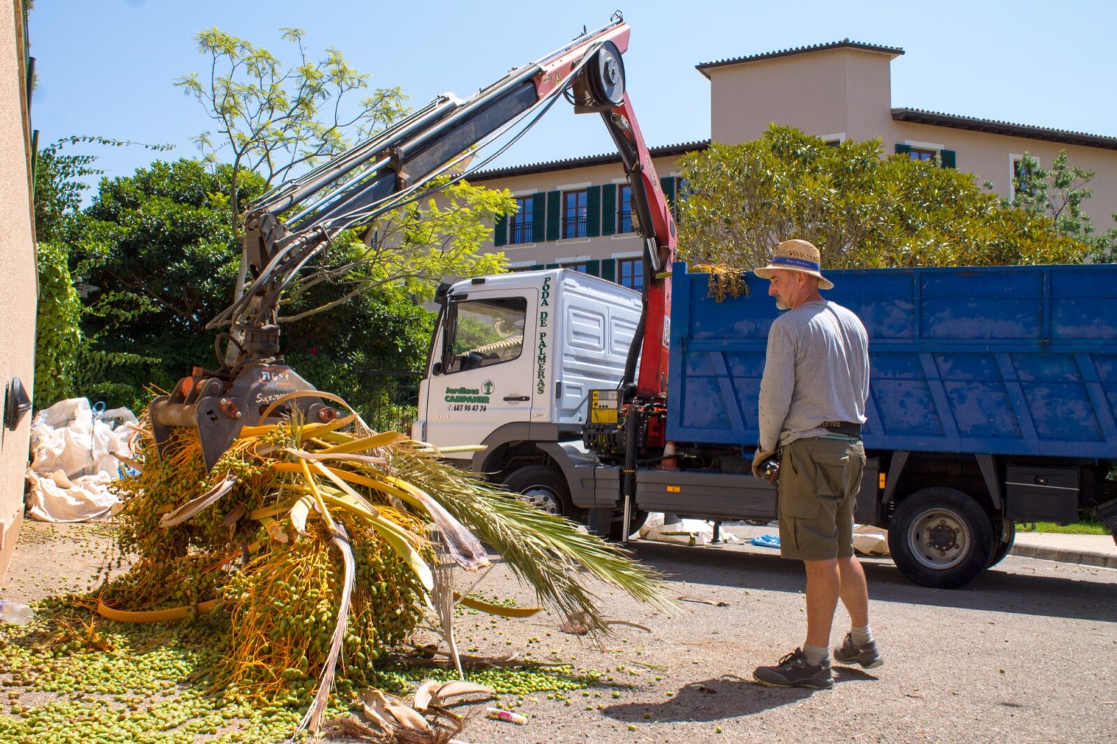 Transporte para jardinería